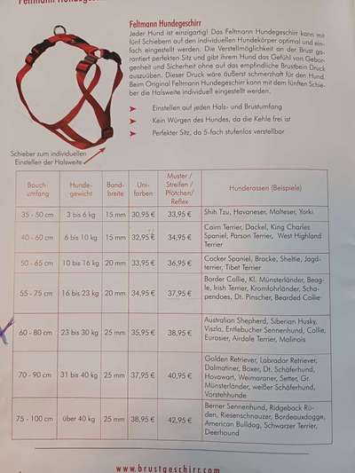 Wie sitzt mein Geschirr?-Beitrag-Bild