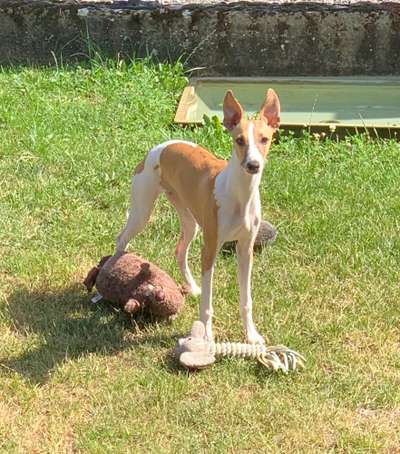Fotowettbewerb Natur-Beitrag-Bild