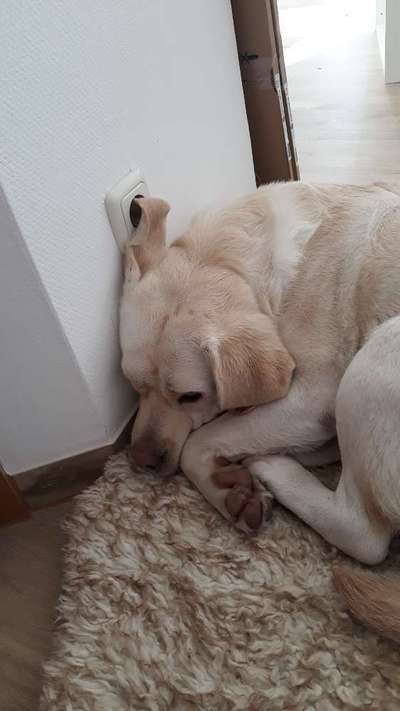 CHALLENGE NR. 34 - Liege-/Schlafpositionen-Beitrag-Bild