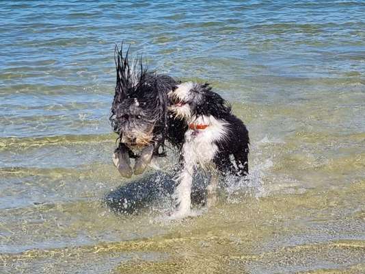 Theos Fotochallange Nummer 4-Beitrag-Bild