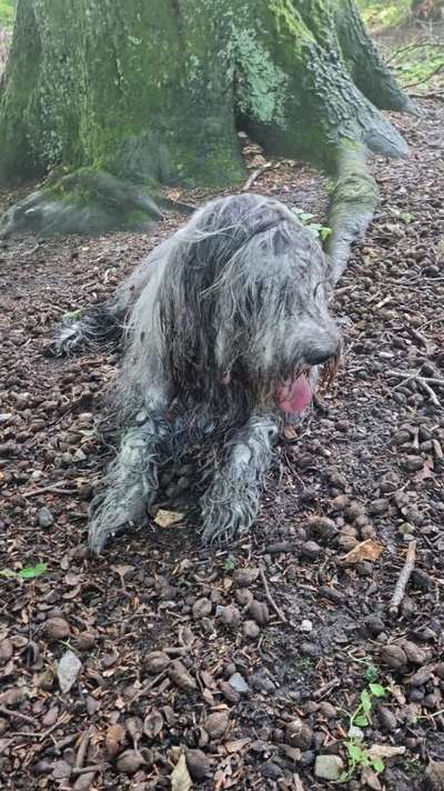 Theos Fotochallange Nummer 4-Beitrag-Bild