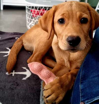 Lieblingsbild-Beitrag-Bild