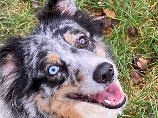 Handy-Foto Challange Nr. 10-Beitrag-Bild