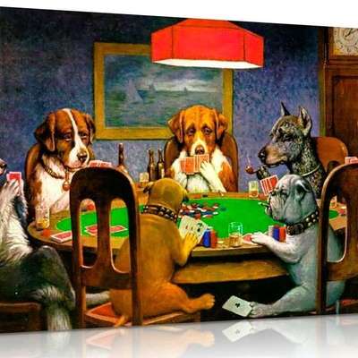 Hundetreffen-Gassi- und/oder Spielrunde-Bild