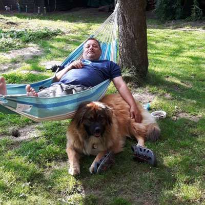 Hundetreffen-Spielen-Profilbild