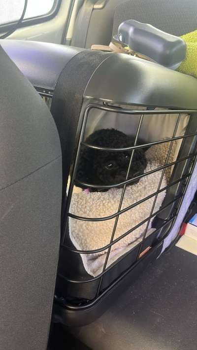 Box für Rückbank im Auto-Beitrag-Bild