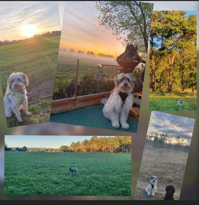 14. Collagen Challenge- Sonnenaufgang & -Untergang-Beitrag-Bild