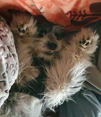 20. Handy -Foto-Callenge-Beitrag-Bild