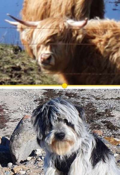 Lustige Grimassen & verrückte Posen-Beitrag-Bild