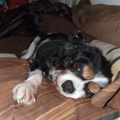 Relaxen im bett-Beitrag-Bild