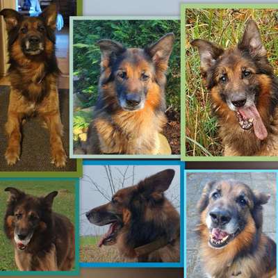 23. Collagen-Challenge: Portraits-Beitrag-Bild