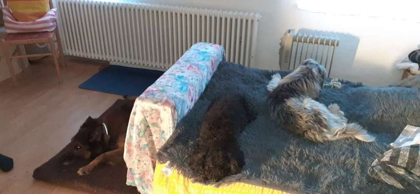 25. Collage Challenge - Urlaub ich packe meine Koffer-Beitrag-Bild