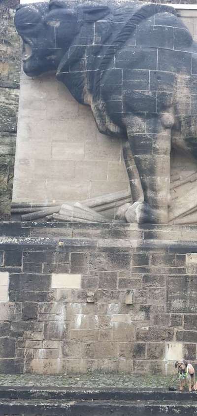 21. Handy-Foto-Challenge-Beitrag-Bild