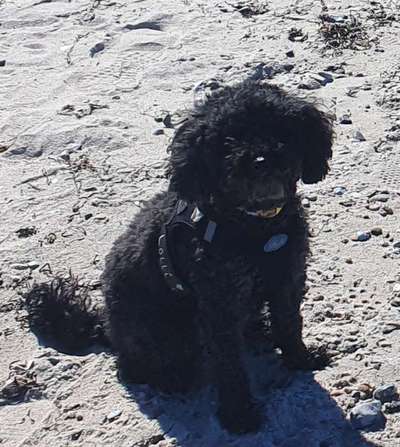 37. Collagen Challenge- Am Strand-Beitrag-Bild