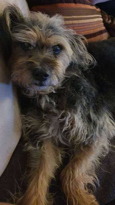 23. Collagen-Challenge: Portraits-Beitrag-Bild