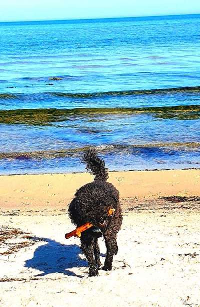 35. Handy Foto Challenge - Das nasse Element-Beitrag-Bild