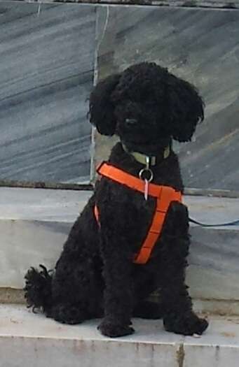 32. Collagen Challenge - eure liebsten gestellten Fotos-Beitrag-Bild