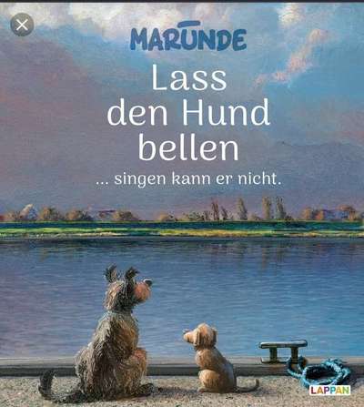 Hunde Memes-Beitrag-Bild