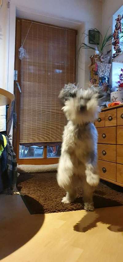 Lustige Grimassen & verrückte Posen-Beitrag-Bild