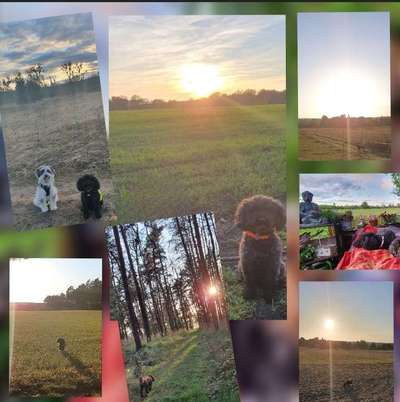 14. Collagen Challenge- Sonnenaufgang & -Untergang-Beitrag-Bild