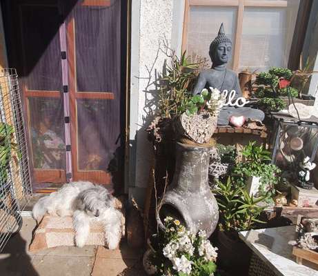 Bright side of life! Schönwetter-Thread-Beitrag-Bild