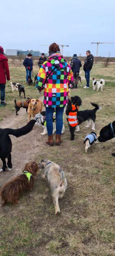 Fotochallenge 108: Starkes Team-Beitrag-Bild