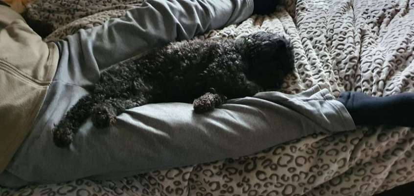 Relaxen im bett-Beitrag-Bild