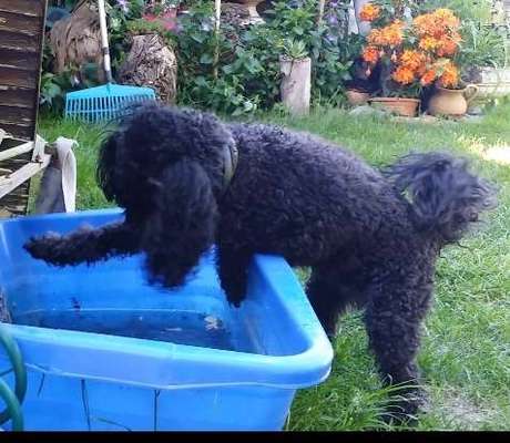 41. Handy Fotochallenge - Euer gemeinsames Hobby-Beitrag-Bild