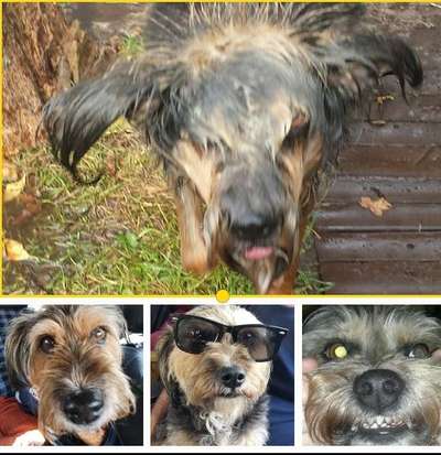 Hier ist der Spaßthread. Zum Schmunzeln und Kaputtlachen-Beitrag-Bild