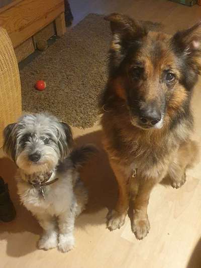 Bright side of life! Schönwetter-Thread-Beitrag-Bild