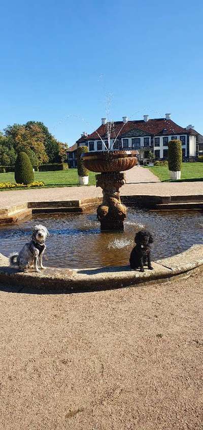 31. Collagen Challenge - Bänke/ Steine /Baumstümpfe-Beitrag-Bild