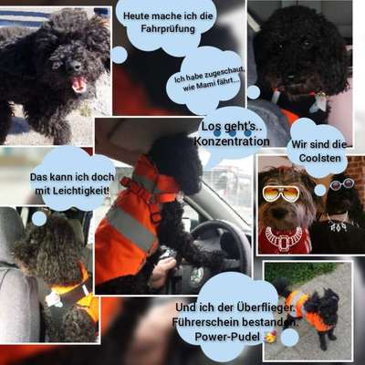 2.Kurzgeschichten Challenge Thema: Autofahren-Beitrag-Bild