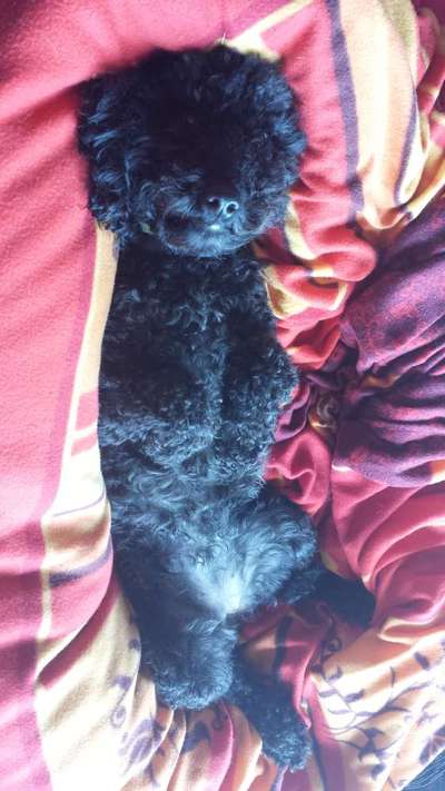 Zeigt eure Portraits-Beitrag-Bild