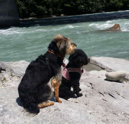 35. Handy Foto Challenge - Das nasse Element-Beitrag-Bild