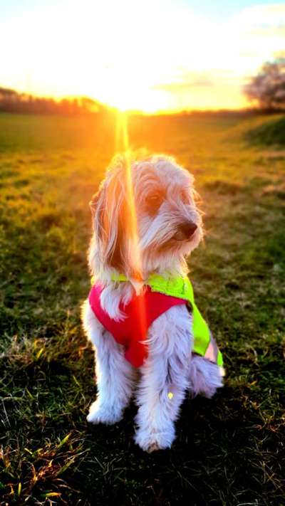 Farben Fotochallenge Sonnenlicht-Beitrag-Bild