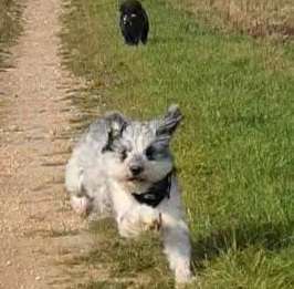 30. Collagen Challenge - Wege/Straßen-Beitrag-Bild