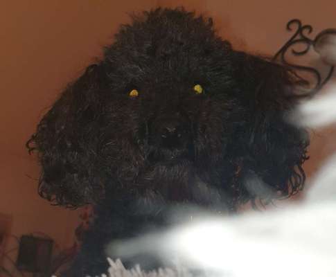 23. Handy Foto-Challenge-Beitrag-Bild