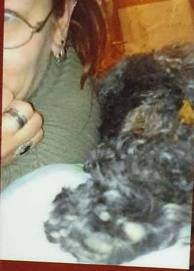 Unsere Fellnasen im Regenbogenland-Beitrag-Bild