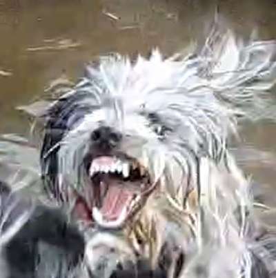 Lustige Grimassen & verrückte Posen-Beitrag-Bild