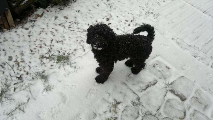 Der erste Schnee, zeigt uns eure tollen Schneemomente-Beitrag-Bild