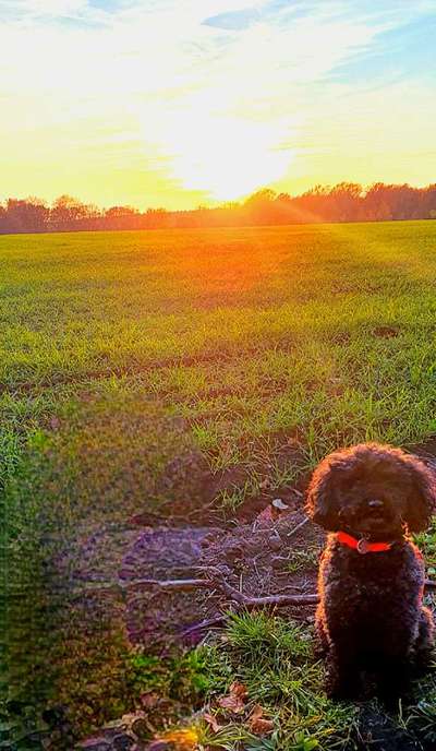 Sonnenaufgänge oder - untergänge-Beitrag-Bild