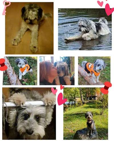 12. Collagen Challenge - Auslastung/Training-Beitrag-Bild