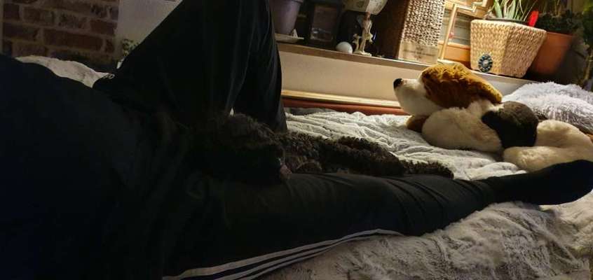 Ton in Ton-Beitrag-Bild