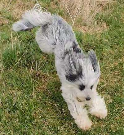 41. Handy Fotochallenge - Euer gemeinsames Hobby-Beitrag-Bild