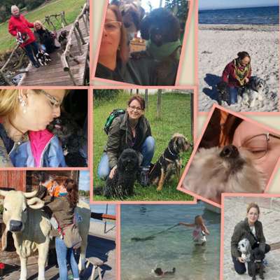 21. Collage Challenge 
Du und dein Hund-Beitrag-Bild