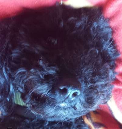 20. Handy -Foto-Callenge-Beitrag-Bild