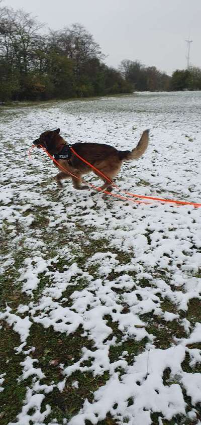 Der erste Schnee, zeigt uns eure tollen Schneemomente-Beitrag-Bild