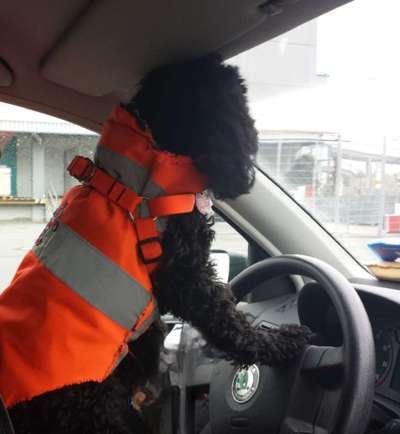 25. Collage Challenge - Urlaub ich packe meine Koffer-Beitrag-Bild