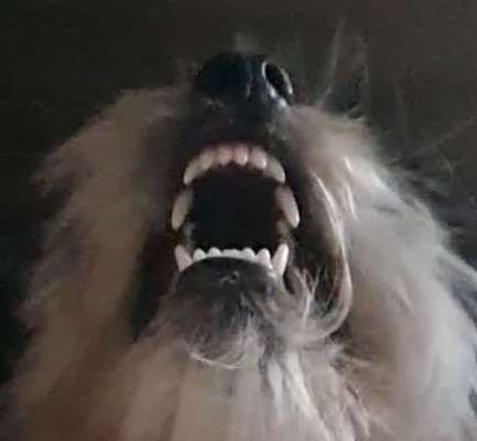 26. Collagen Challenge- Zeigt her eure Zähne-Beitrag-Bild