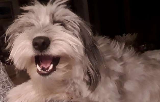 Fotochallenge Nr.122-Beitrag-Bild